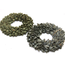 Wianek z suszonych owoców egzotycznych Bakuli 20cm Zielony